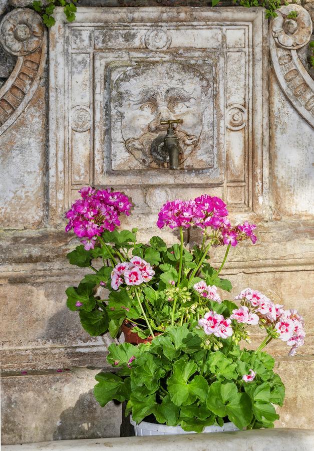 Hotel Casa Diocesana Di ลุคคา ภายนอก รูปภาพ
